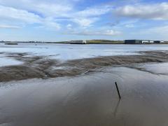 Mud on the Thames